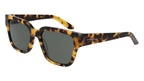 Dragon Square Polarized Sun - Tortoise