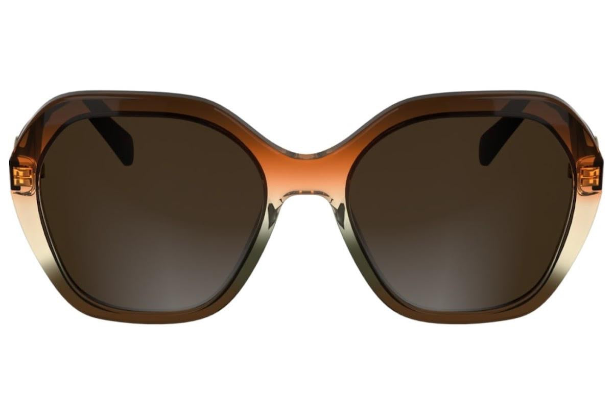 Longchamp Square Oversize Sun - Brown