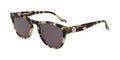 Converse Square Sun - Tortoise