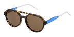 Tommy Hilfiger Aviator Sun - Tortoise & Blue