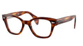 Ray Ban Read - Street Tortoise