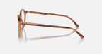Ray Ban Read - Light Tortoise