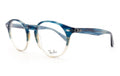Ray Ban Read- Blue Havana