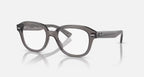 Ray Ban Read - Grey