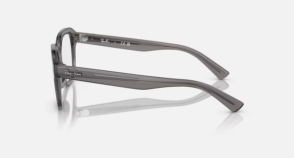 Ray Ban Read - Grey