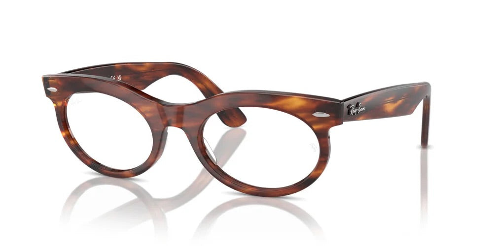 Ray Ban Read - Oval Tortoise