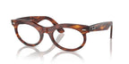 Ray Ban Read - Oval Tortoise