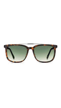 Fossil Sun - Tortoise & Black