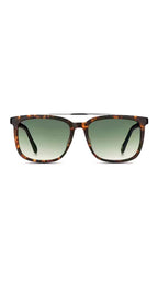 Fossil Sun - Tortoise & Black