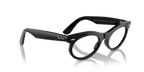 Ray Ban Oval Eyeglasses - Shiny Black
