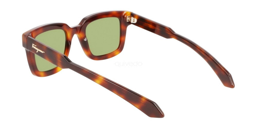 Salvatore Ferragamo Sun - Tortoise