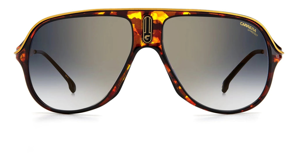 Carrera Polarized Sun - Tortoise & Black