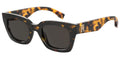 Tommy Hilfiger Sun - Tortoise