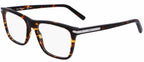 Salvatore Ferragamo Read - Tortoise