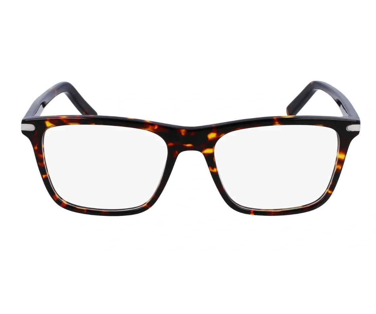 Salvatore Ferragamo Read - Tortoise