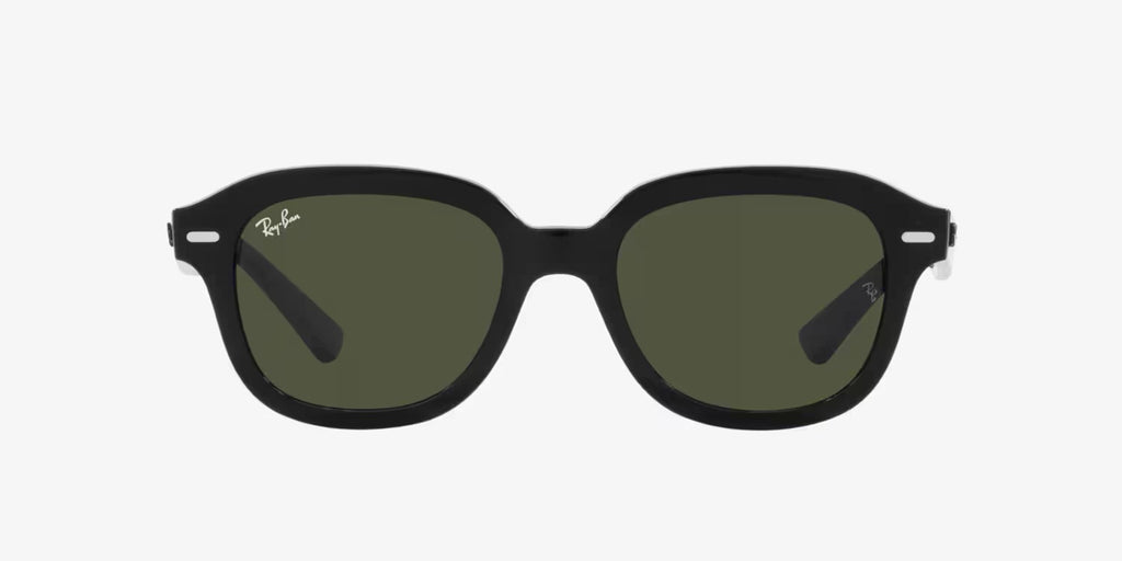 Ray Ban Erik Sun - Black