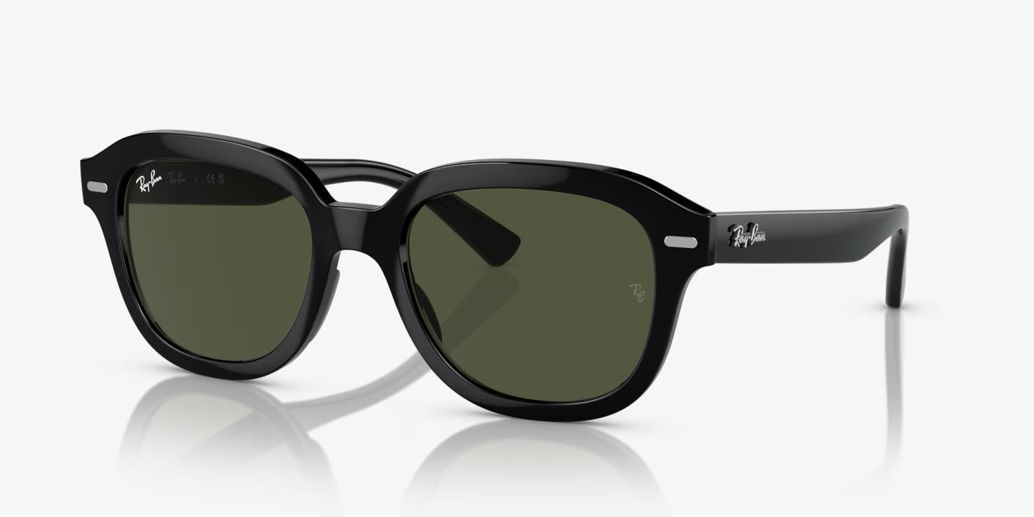 Ray Ban Erik Sun - Black