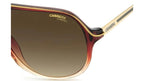 Carrera Aviator Safari Especial Edition Sun -Brown