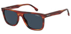 Carrera Square Sun - Tortoise
