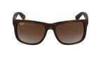 Ray Ban Justin Sun - Tortoise