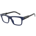 Arnette Read - Blue & Black