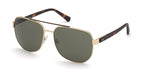 Guess Sun - Gold & Tortoise