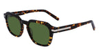 Salvatore Ferragamo Square Sun - Tortoise