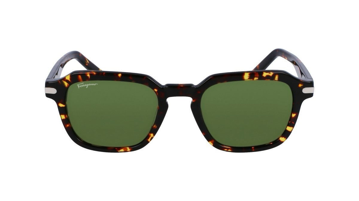 Salvatore Ferragamo Square Sun - Tortoise