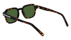 Salvatore Ferragamo Square Sun - Tortoise