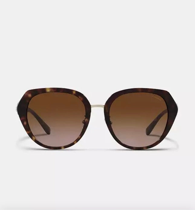 Coach Sun - Tortoise